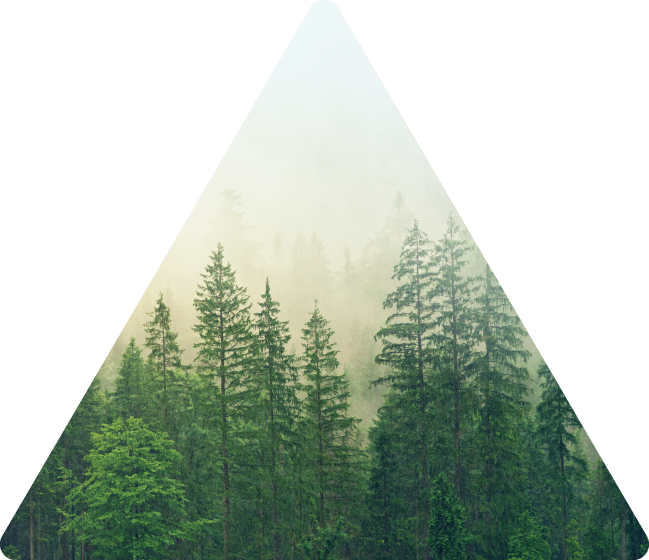 triangle2